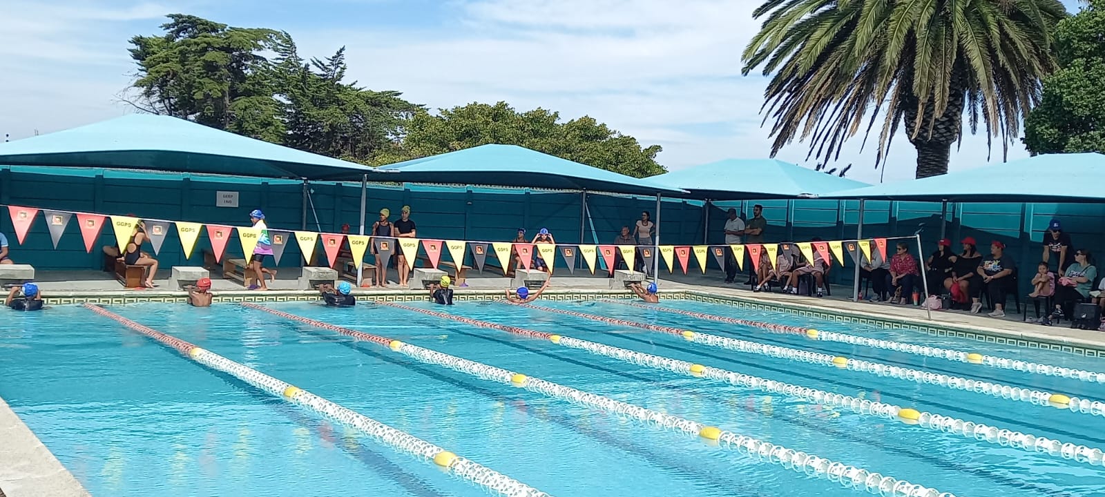 Swimming Gala (10)