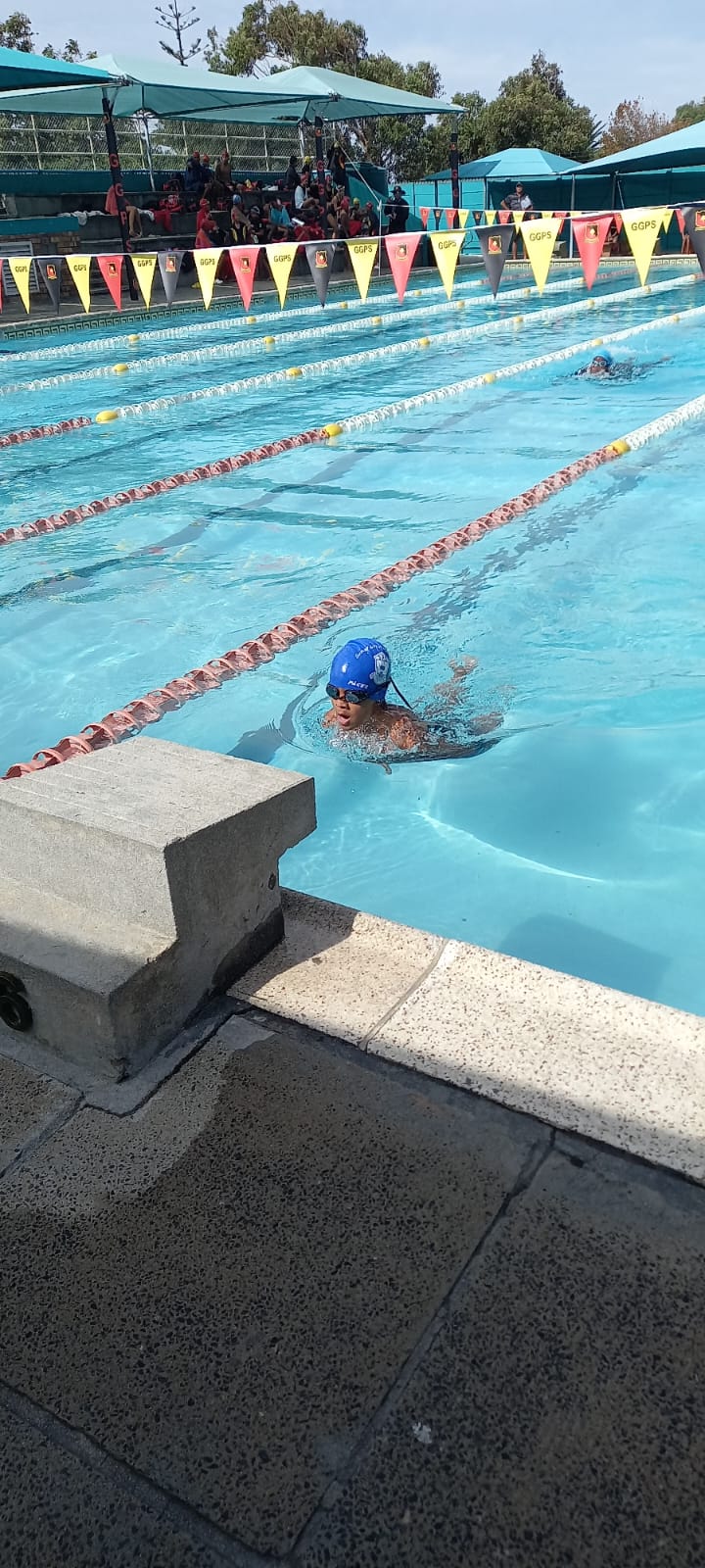 Swimming Gala (12)