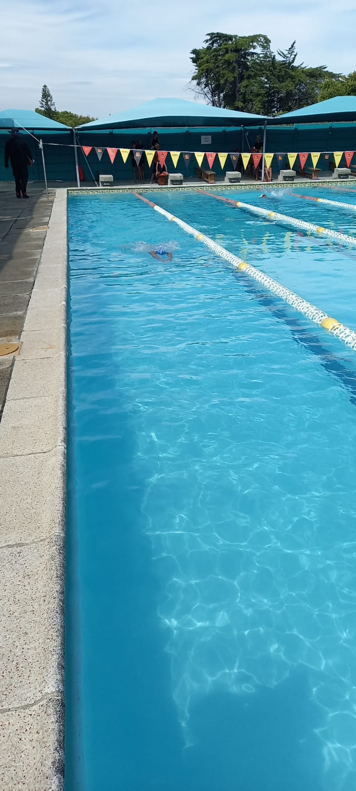 Swimming Gala (5)