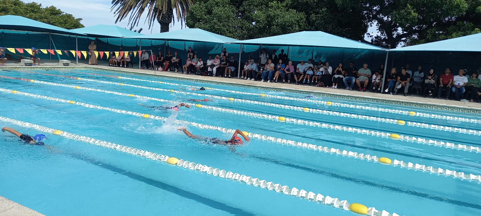 Swimming Gala (6)